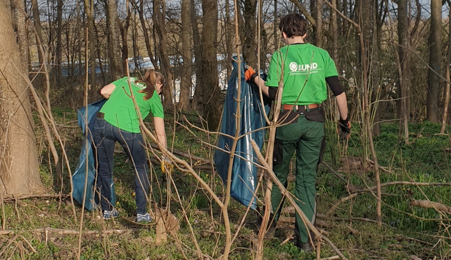 Wald-Cleanup